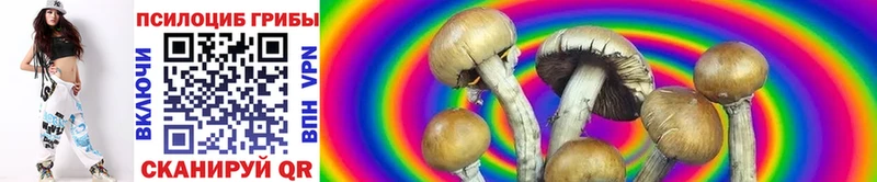 что такое   Вятские Поляны  Галлюциногенные грибы GOLDEN TEACHER 